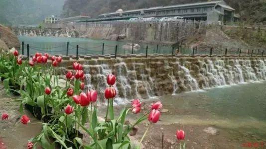 因个人贷款管理不尽职等 交通银行三明分行被罚95万