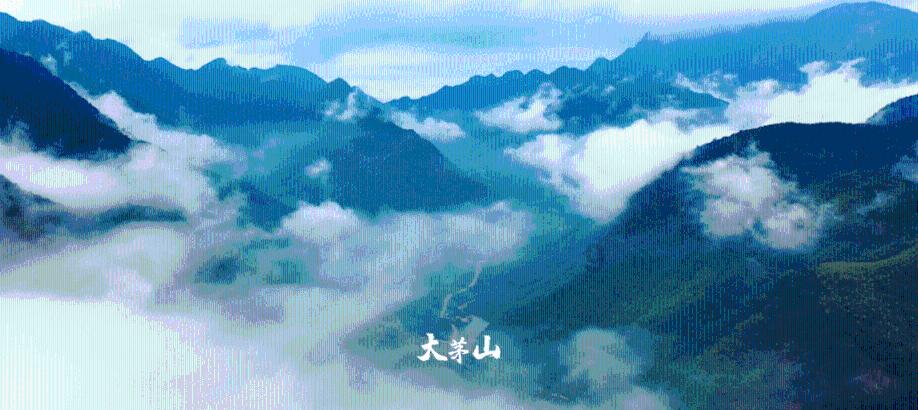 美丽乡村别墅逃生